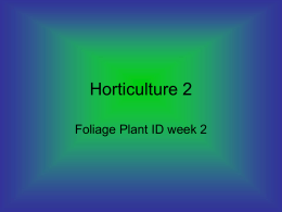 Horticulture 2