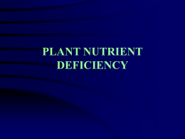 PLANT NUTRIENT DEFICIENCY