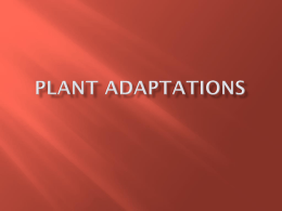 Biomes-Plant Adaptations