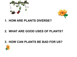 1.  HOW ARE PLANTS DIVERSE?