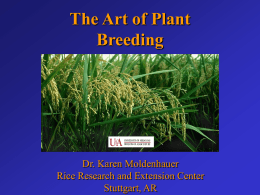 Plant breeding is a unique science in at least 2 ways