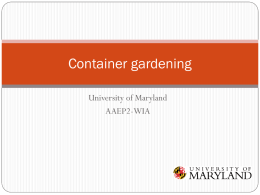 Container gardening - University of Maryland