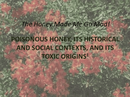 Mad Honeyx