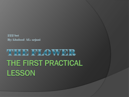 The Flower The first practical lesson