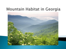 Mountain Habitat in Georgia