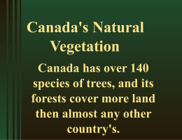 Canada`s Natural Vegetation