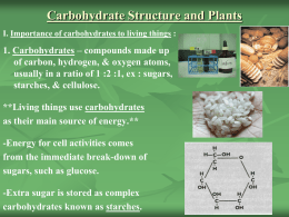 Importance of carbohydrates to living things :