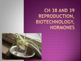 Ch 38 and 39 Plant Hormones