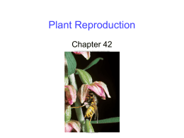 Pollination - 549online.org