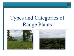 Types and Categories of Plants