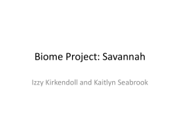 Biome Project: Savannah