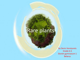 13288_Rare_plantsx
