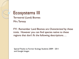 Ecosystems III