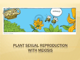 Plant Reproduction PPT