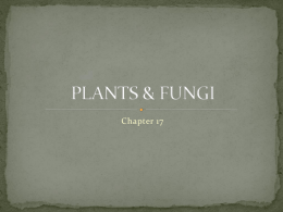 Unit 11 plant, fungi ppt.