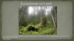 Ecosystems on Land