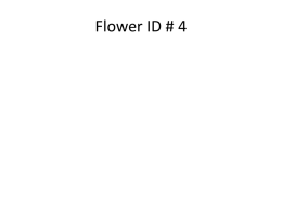 Flower ID # 4
