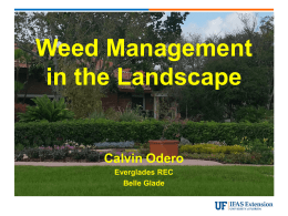 Weed Management in Landscapes