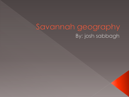 savannafinalpresentationcookx - cooklowery14-15