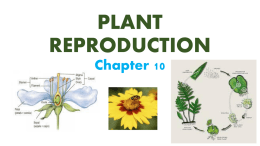 PLANT REPRODUCTION Chapter 10 - St. Thomas the Apostle School