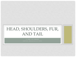 Head, Shoulders, Fur, and Tail