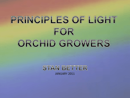 PRINCIPLES OF LIGHT