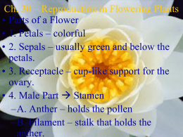 Ch. 27 * Reproduction in Flowering Plants