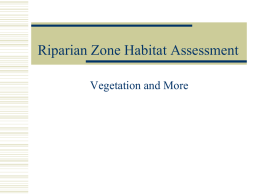 Riparian Vegetation - Bayou Vermilion Preservation Association