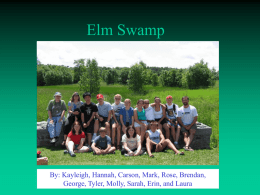 Elm Swamp Historic/Geologic