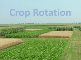 Crop rotation - Science at NESS