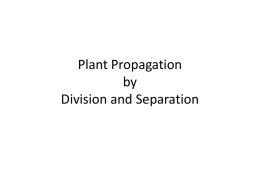 Division and Separation