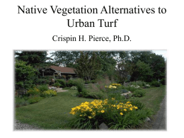 Turf and Native Vegetation Can Be Mixed to Allow Multipurpose