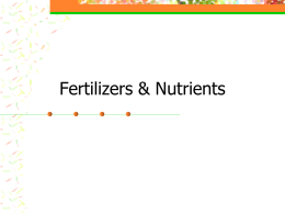 Horticulture IFertilizer and Nutrients