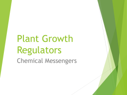 Plant Growth Regulators 23.02.16 File