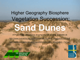 A vegetation succession on sand dunes The development of a sand