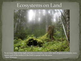 Land Biomes - Real World