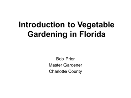 Introduction to Vegetable Gardening in Florida