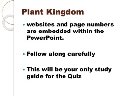 plant kingdom intro foldable