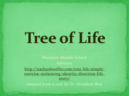 Tree of Life - Westport ​Middle School