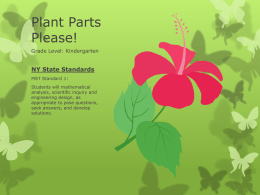 Students will be able to identify plant parts, where seeds
