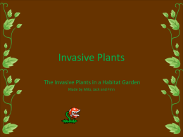 Invasive Plants - Schoolyard Habitat Garden