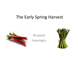 The Spring Harvest