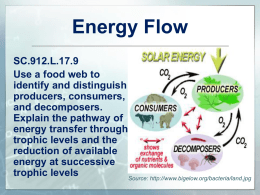 L.17.9 Energy Flow