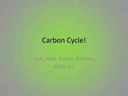 Carbon Cycle!x