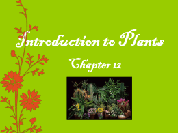 What is a Plant? - St. Clair Schools