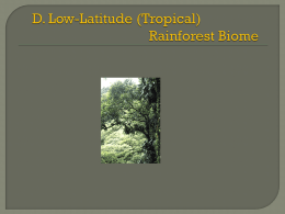 D. Low-Latitude (Tropical) Rainforest Biome