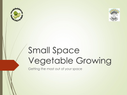 vegetable growing in small spaces