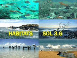 Habitats SOL 3.6