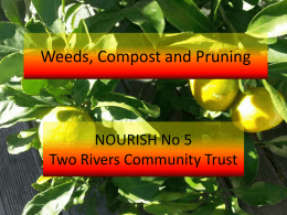 Weeds, Compost and Pruning - Two Rivers Community Trust