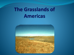 The Grasslands of Americas